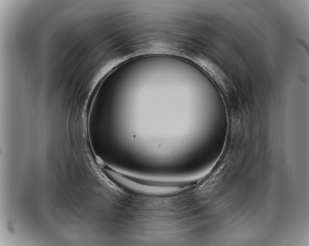 X0000097501238200802291551