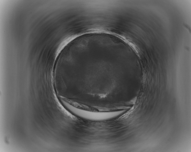 X0000097501239200802291551