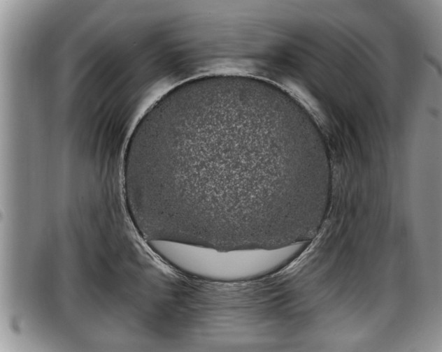X0000097501240200802291551