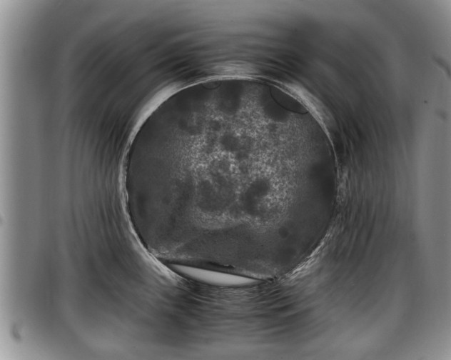 X0000097501243200802291551