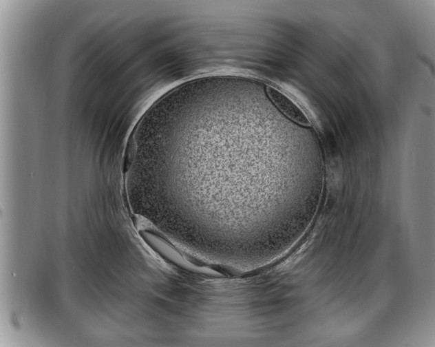 X0000097501244200802291551