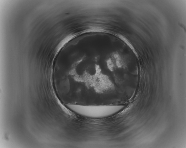 X0000097501245200802291551