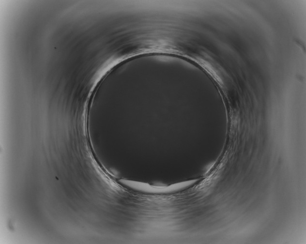 X0000097501246200802291551