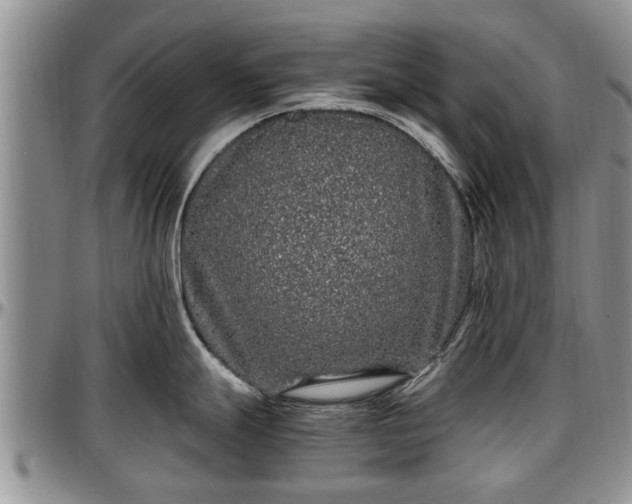X0000097501247200802291551