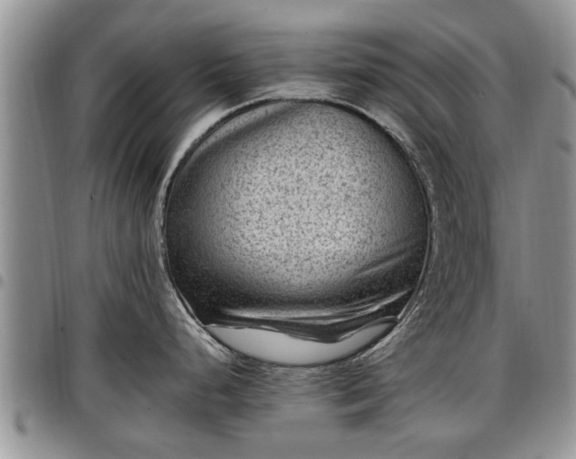 X0000097501248200802291551