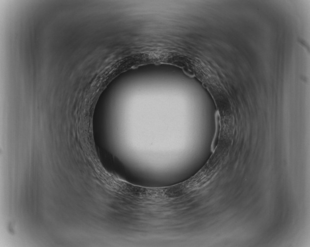 X0000097501249200802291551