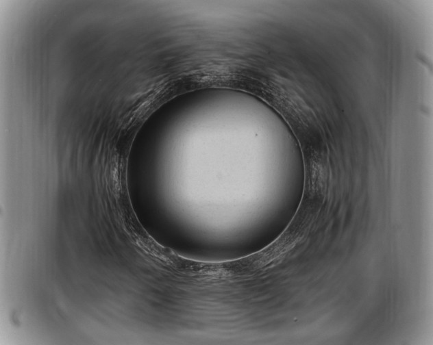 X0000097501250200802291551