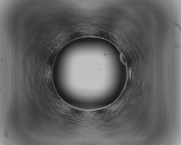 X0000097501251200802291551