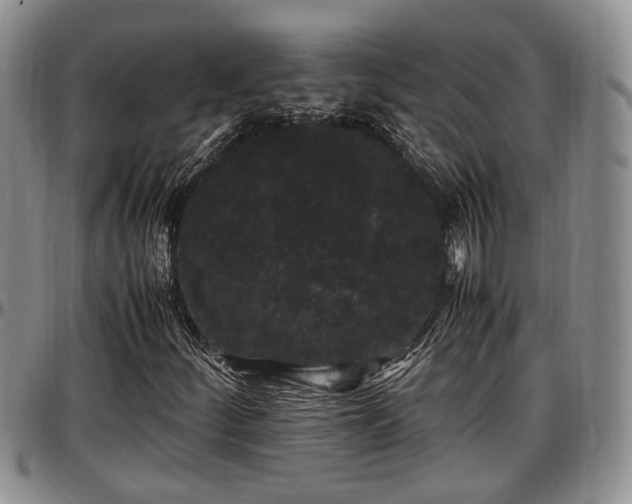 X0000097501252200802291551