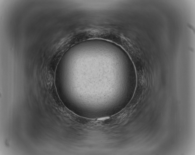 X0000097501253200802291551