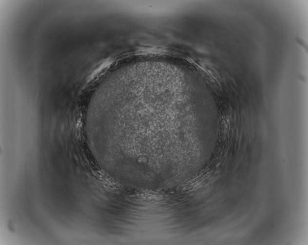 X0000097501254200802291551