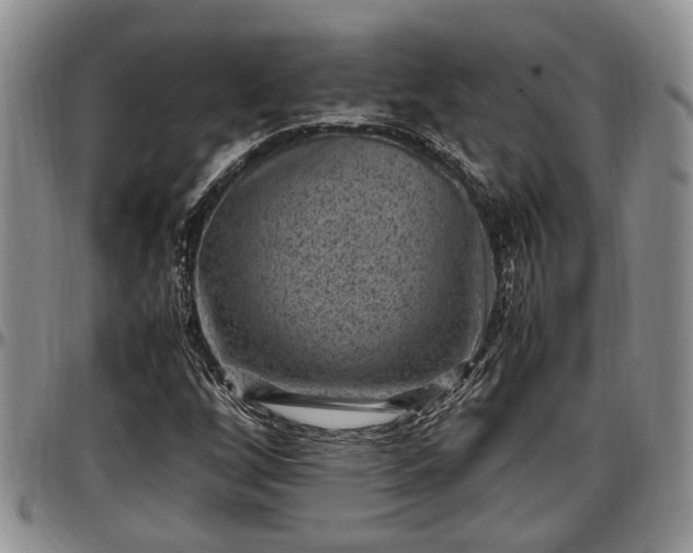 X0000097501256200802291551