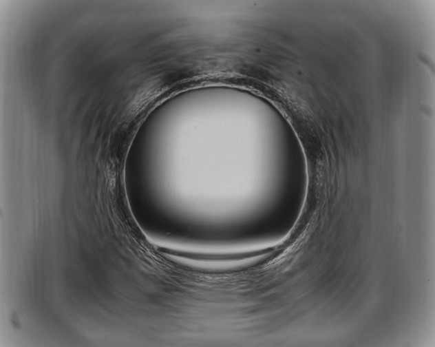 X0000097501257200802291551