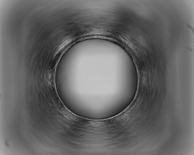 X0000097501258200802291551