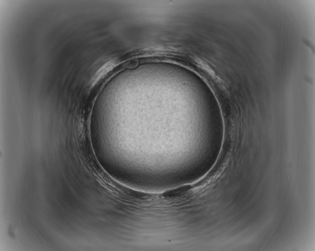 X0000097501259200802291551