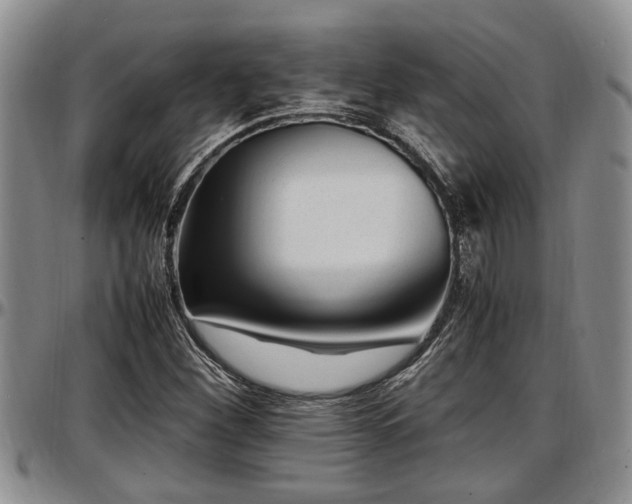 X0000097501260200802291551