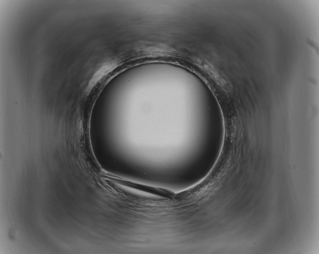 X0000097501261200802291551