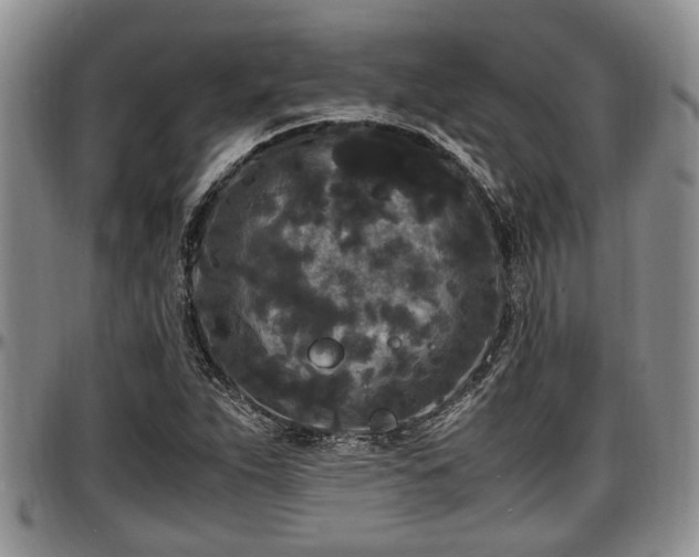 X0000097501263200802291551