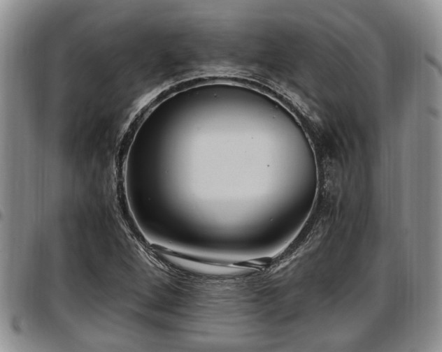 X0000097501264200802291551