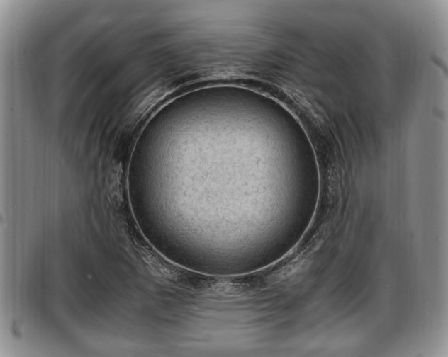 X0000097501265200802291551