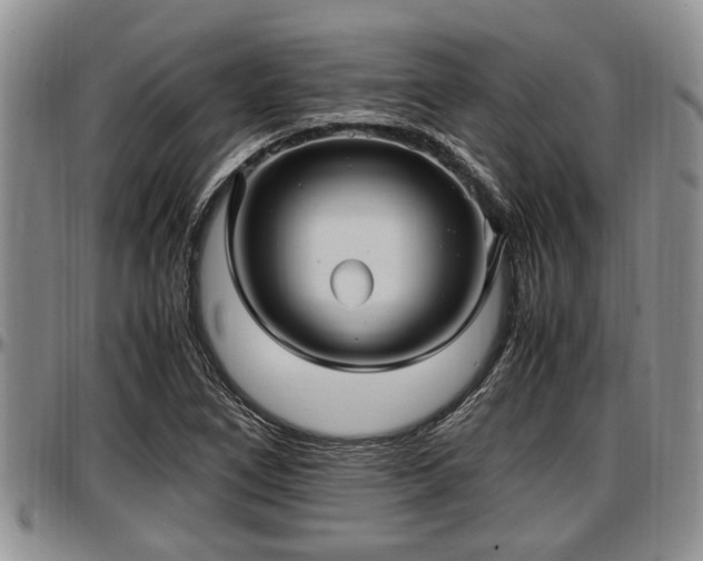 X0000097501266200802291551