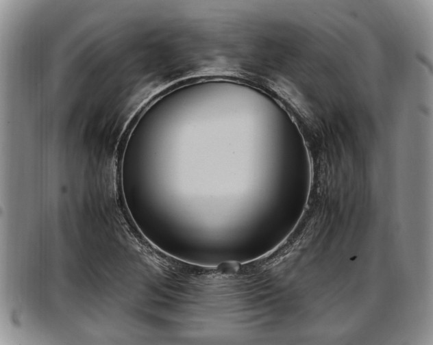X0000097501268200802291551