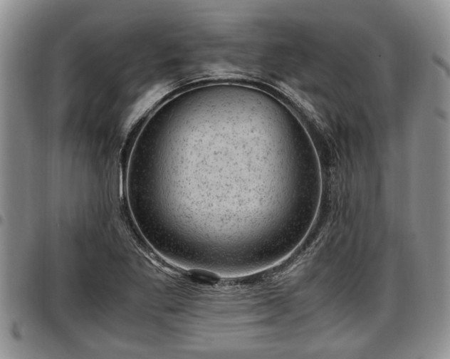 X0000097501269200802291550
