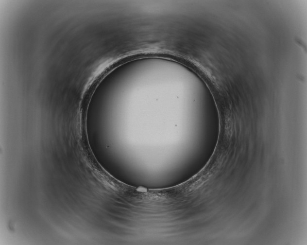 X0000097501270200802291550