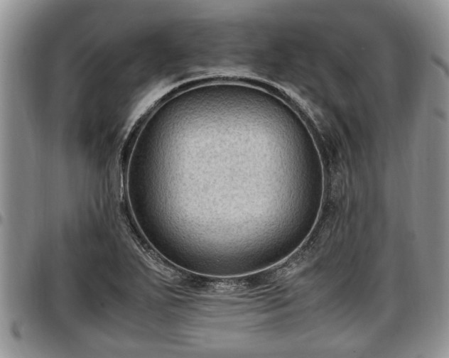 X0000097501271200802291550