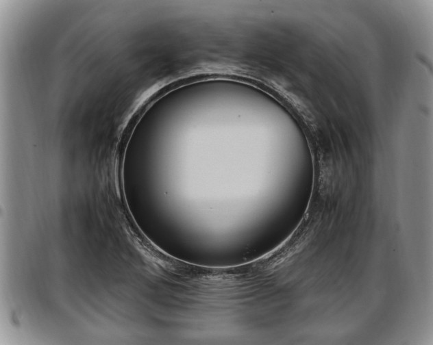 X0000097501272200802291550