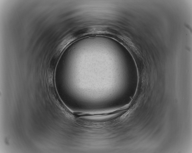 X0000097501273200802291550
