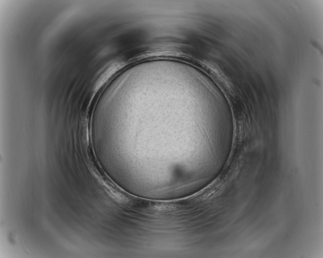 X0000097501274200802291550