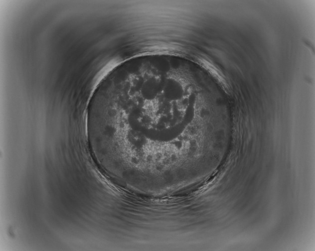 X0000097501275200802291550