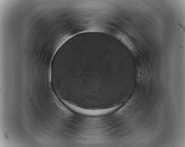 X0000097501276200802291550