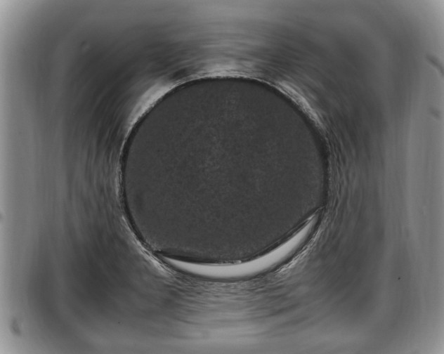 X0000097501277200802291550