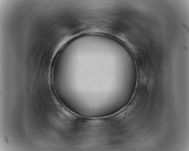X0000097501278200802291550