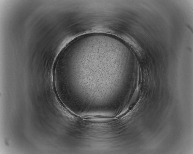 X0000097501280200802291550