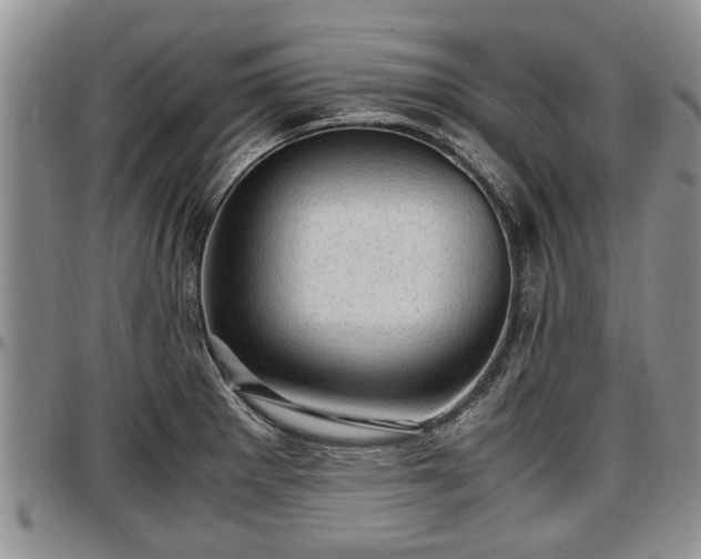 X0000097501281200802291550