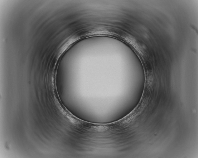 X0000097501282200802291550