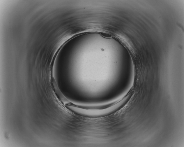 X0000097501284200802291550