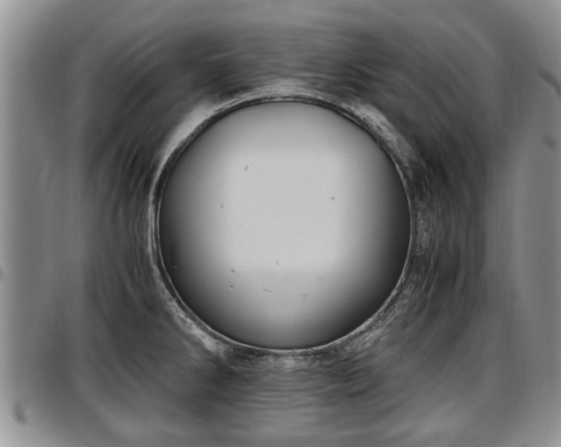 X0000097501286200802291550