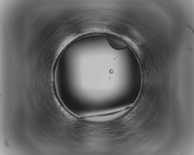 X0000097501287200802291550