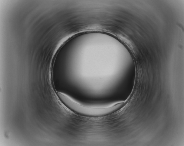 X0000097501288200802291550