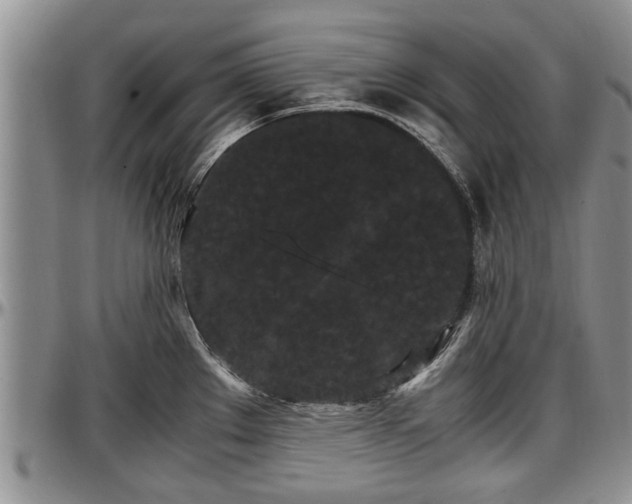 X0000097501289200802291550