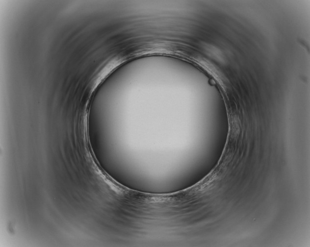 X0000097501290200802291550