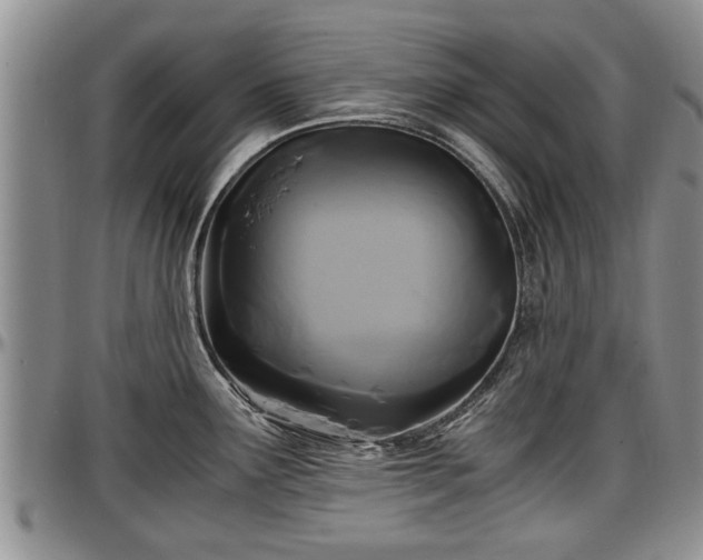 X0000097501291200802291550