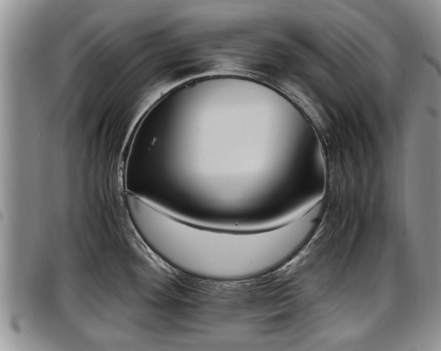 X0000097501292200802291550