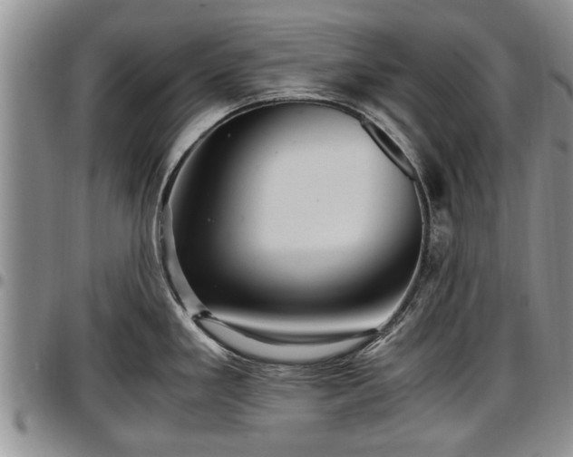 X0000097501293200802291550