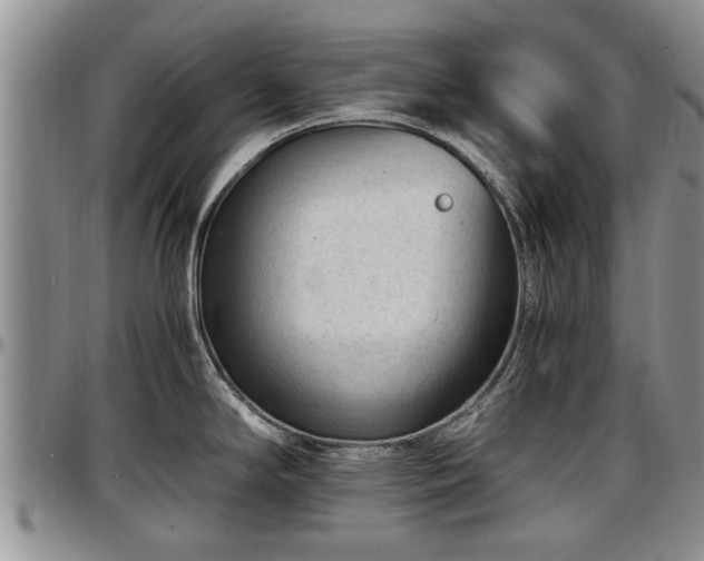 X0000097501294200802291550