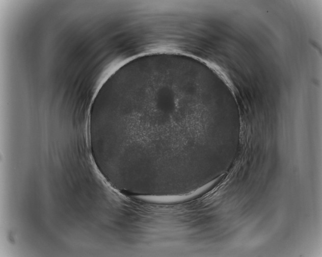 X0000097501295200802291550